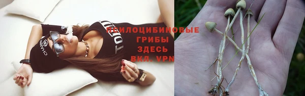 дживик Нефтекумск