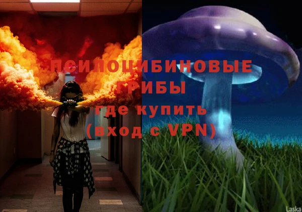 дживик Нефтекумск