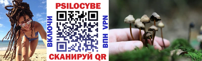 Галлюциногенные грибы мицелий  Купить  Ардатов 